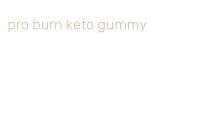 pro burn keto gummy