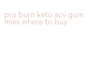 pro burn keto acv gummies where to buy