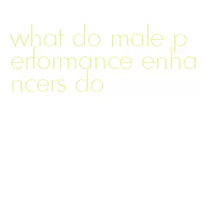 what do male performance enhancers do