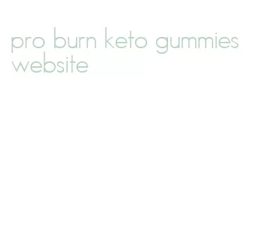 pro burn keto gummies website