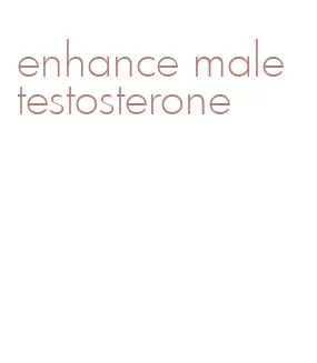 enhance male testosterone