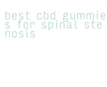 best cbd gummies for spinal stenosis