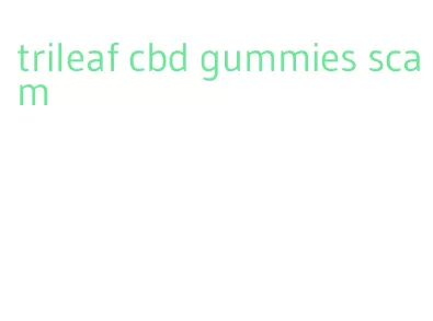 trileaf cbd gummies scam