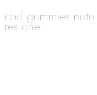 cbd gummies natures one