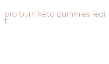 pro burn keto gummies legit
