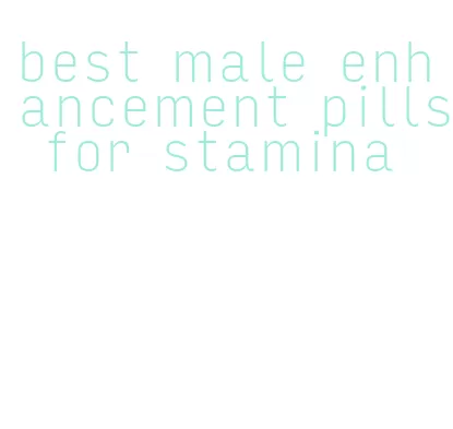 best male enhancement pills for stamina