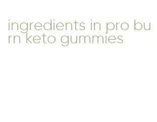 ingredients in pro burn keto gummies