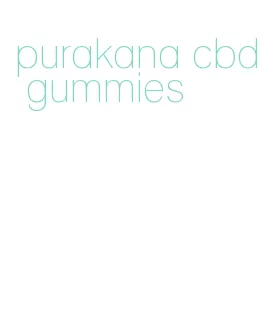 purakana cbd gummies