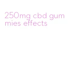250mg cbd gummies effects
