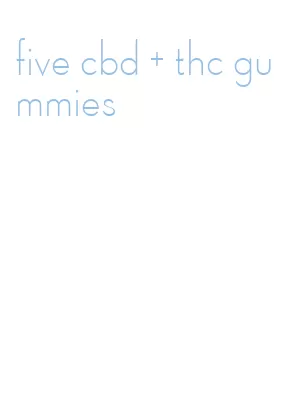 five cbd + thc gummies