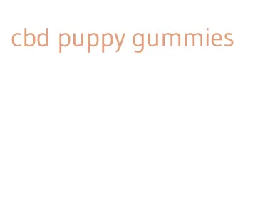 cbd puppy gummies