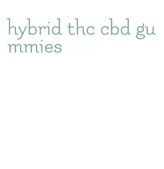 hybrid thc cbd gummies