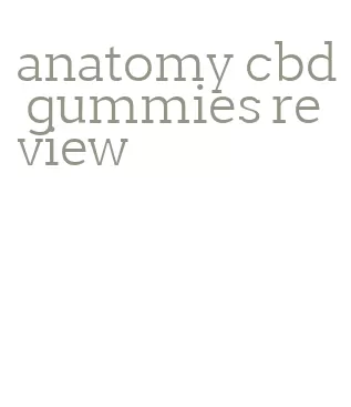 anatomy cbd gummies review