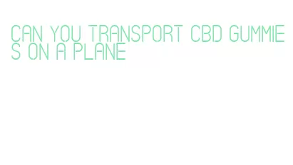 can you transport cbd gummies on a plane