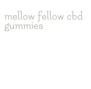 mellow fellow cbd gummies