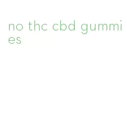 no thc cbd gummies
