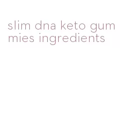 slim dna keto gummies ingredients