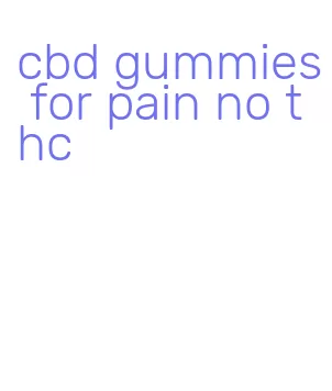 cbd gummies for pain no thc
