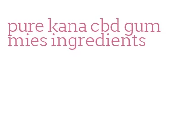 pure kana cbd gummies ingredients