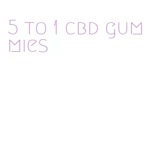 5 to 1 cbd gummies