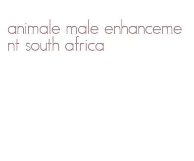 animale male enhancement south africa