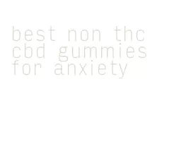 best non thc cbd gummies for anxiety