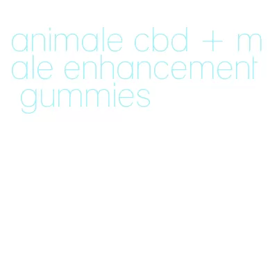animale cbd + male enhancement gummies