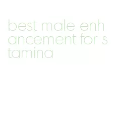 best male enhancement for stamina