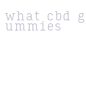 what cbd gummies