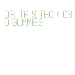 delta 9 thc & cbd gummies