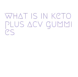 what is in keto plus acv gummies