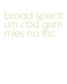 broad spectrum cbd gummies no thc