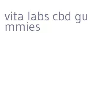 vita labs cbd gummies