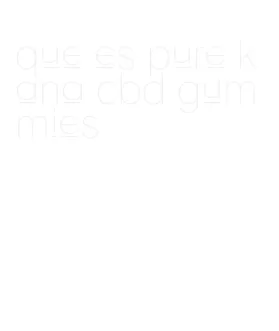 que es pure kana cbd gummies