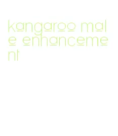 kangaroo male enhancement
