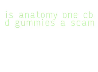 is anatomy one cbd gummies a scam
