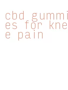 cbd gummies for knee pain