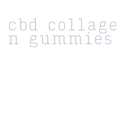 cbd collagen gummies