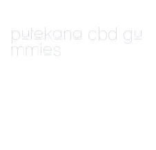 putekana cbd gummies