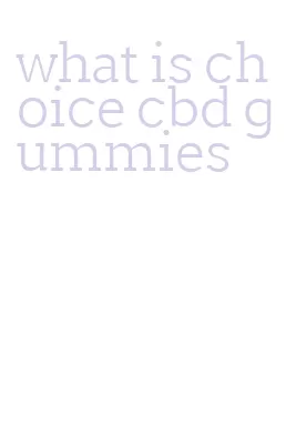 what is choice cbd gummies