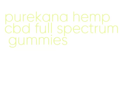 purekana hemp cbd full spectrum gummies