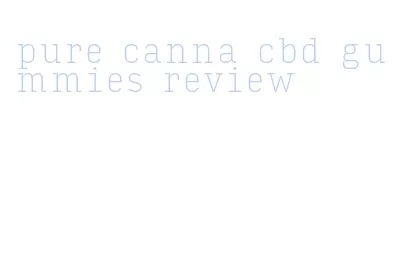 pure canna cbd gummies review