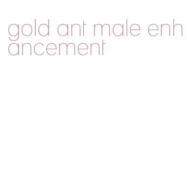gold ant male enhancement