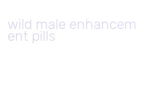wild male enhancement pills