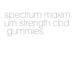 spectrum maximum strength cbd gummies