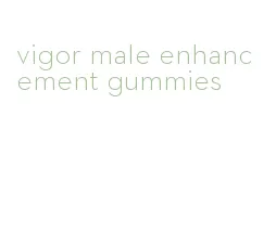 vigor male enhancement gummies