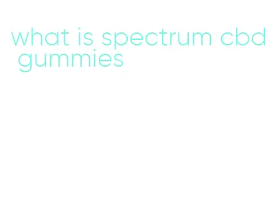 what is spectrum cbd gummies