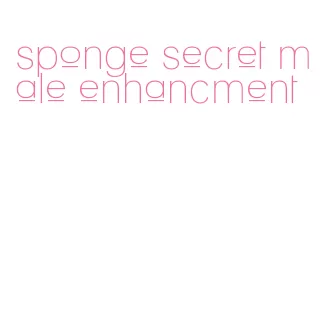 sponge secret male enhancment