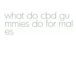 what do cbd gummies do for males