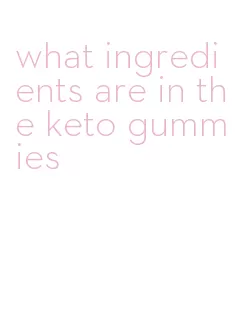 what ingredients are in the keto gummies
